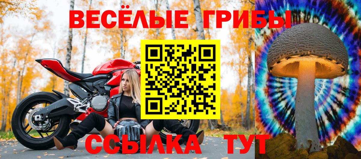 Ярославль  Псилоцибиновые грибы мицелий  купить   Вход с VPN 